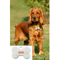 Talking Digital Pet ID Tag